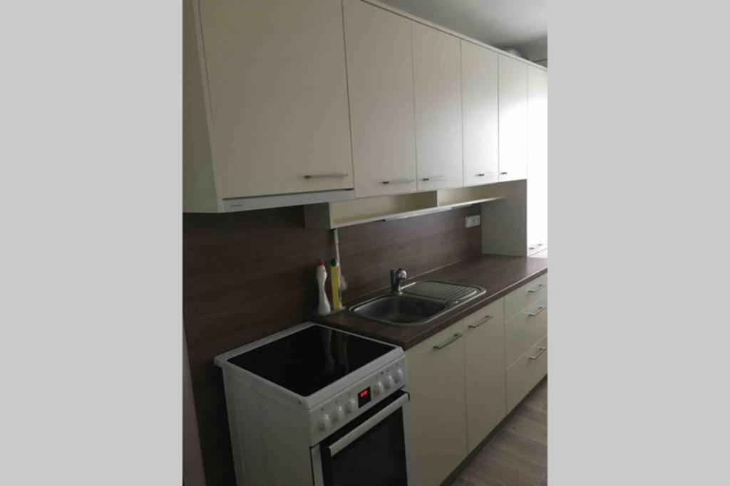 Family Apartment With Garden And Parking Spot Ceske Budejovice Exterior photo
